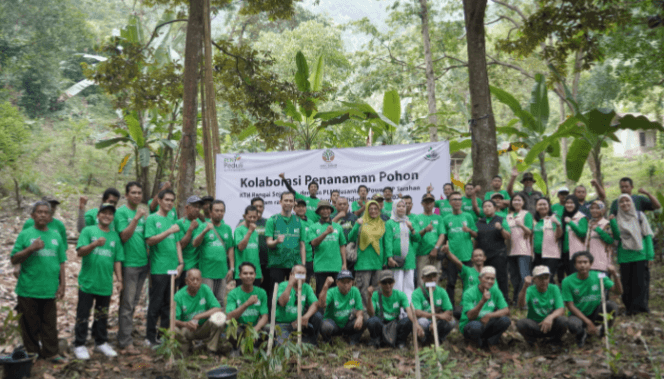
 KTH Rangai Sejahtera dan PLN Nusantara Power UP Tarahan Tanam 1.800 Pohon